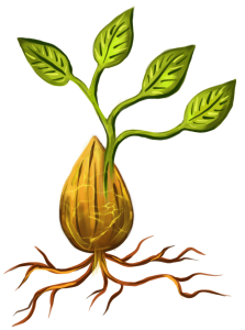 Évi Fényszálfonója női közösség szimbólum – női elvonulások és programok