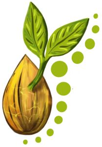 Évi Fényszálfonója női közösség szimbólum – női elvonulások és programok